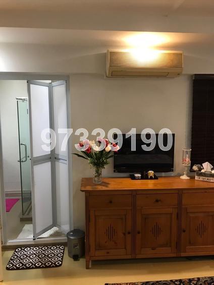 Blk 537 Pasir Ris Street 51 (Pasir Ris), HDB Executive #153668722